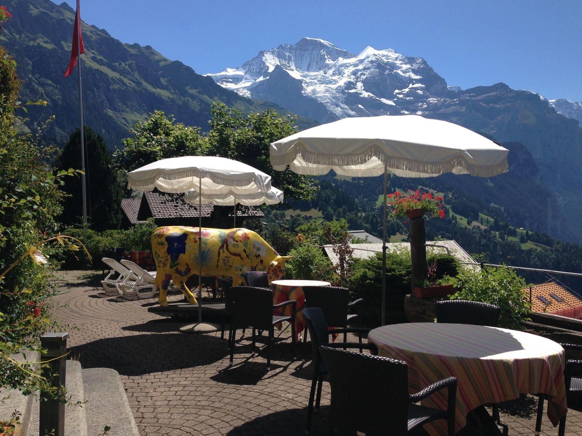 Minotel Bellevue Wengen Exterior photo